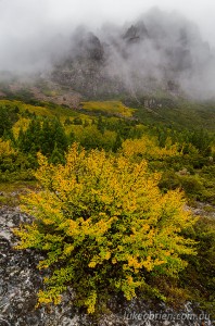 Cradle Mountain in the clouds