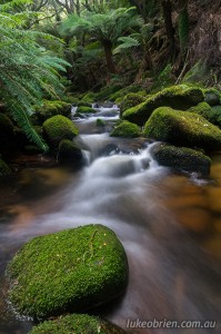 Lovely rainforest cascades on the Groom River in Tasmania's Blue Tier