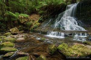 Tasmanian rainforest photography tours - Mt Field & Styx Valley