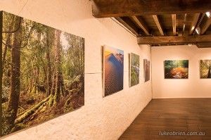 Tarkine photography and art exhibition Tasmania