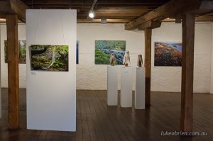 "Love the Tarkine" - photography and art exhibition, Long Gallery, Tasmania
