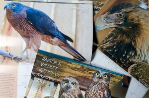 Raptor & Wildlife Refuge of Tasmania 2014 Calendar