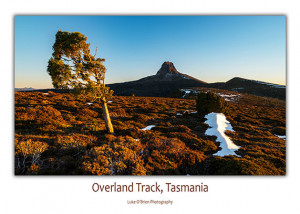 tasmanian postcards overland track
