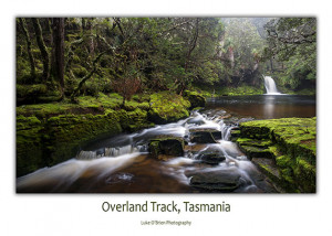 Ovreland Track Postcard Tasmania