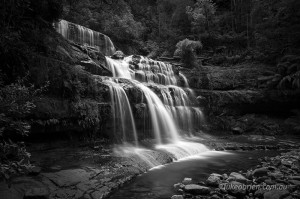 Photography Tours Tasmania Liffey Falls 