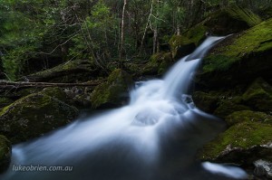 Rainforest cascade Great Western Tiers Tasmania