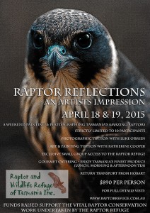 Raptor Reflections Art & Photography Workshop