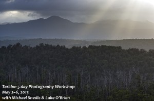 Tarkine Photography Tour Tasmania