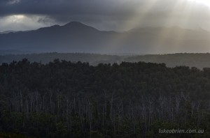 Morning light, Western Explorer in Tasmania's Tarkine