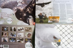 Tasmanian Raptor Refuge Calendar 2015