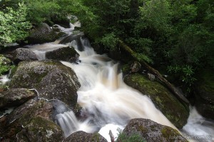 Winterbrook River, downstream of the falls and deep in the rainforest