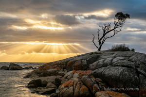 Bay of Fires Crepuscular Rays