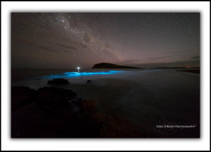 L232: Bioluminescence South Arm, Tasmania