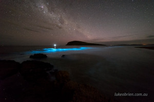 bioluminescence tasmania south arm