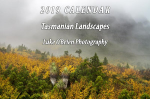 2019 calendar - now available!
