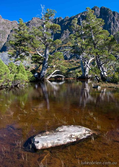 Artists Pool at Cradle Mountain, Tasmania