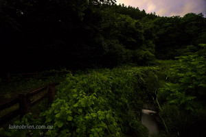 fireflies-fukushima-japan