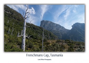 Frenchmans Cap Tasmanian Wilderness Postcard