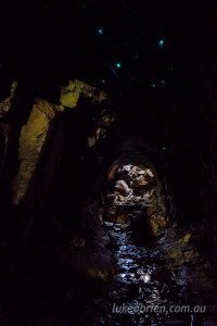 glow worm cave tasmania