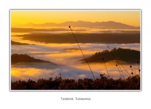 Tasmanian Greeting Cards - Tarkine Mt Donaldson sunrise