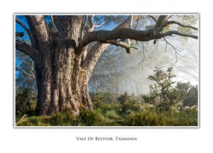 Tasmanian Greeting Cards Vale of Belvoir