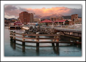 Sunrise Hobart Waterfront, Tasmania