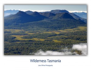 Tasmanian Wilderness Postcards: King William Range