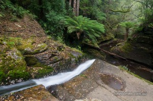 Lifey Falls Tasmania - The Spout