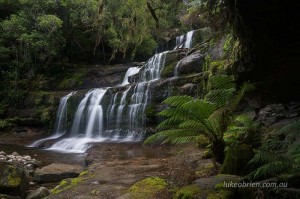 Liffey Falls and rainforest, Tasmania