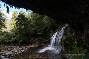 Liffey Falls walk Tasmania