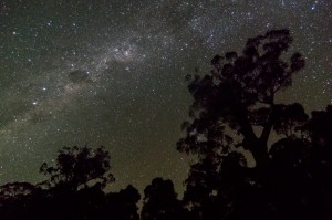 Night sky photos: Milky Way at Lake St Clair