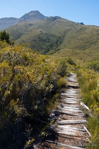 Mt Anne day walk south west Tasmania