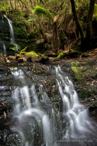 myrtle gully falls mt wellington tasmania