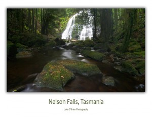 Tasmanian postcards - Nelson Falls