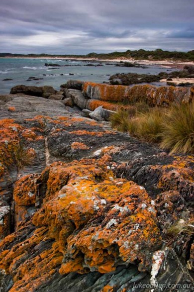 North Coast Tasmania