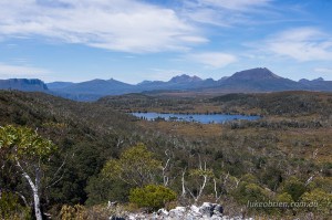 Pelion and Pine Forest Moor area, Overland Track