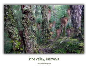 Postcards: Pine Valley Tasmania