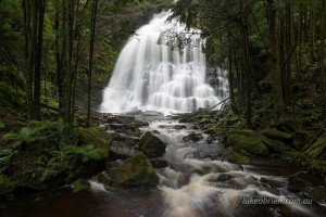 Nelson Falls in Tasmania's World Heritage Area