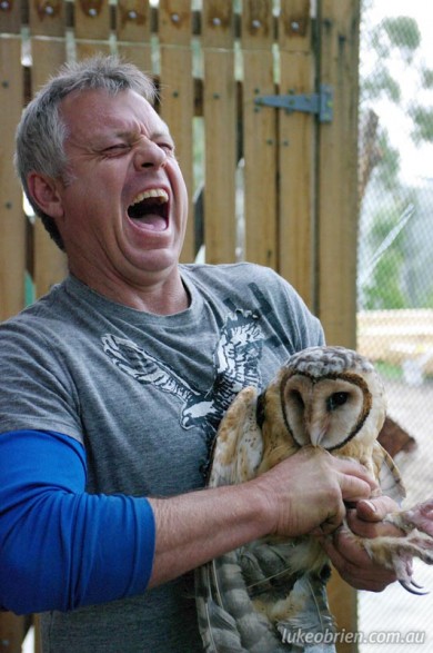 Raptor Refuge Masked Owl Release Oct 2011