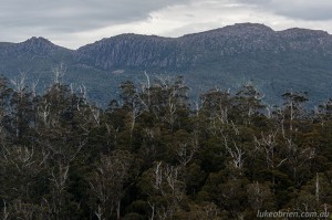 Styx Valley Giants & Snowy Range, Tasmania