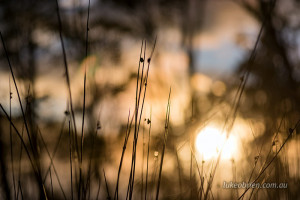 sunrise pelion plains overland track