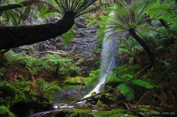Lovers Falls near Corinna in Tasmania's Tarkine