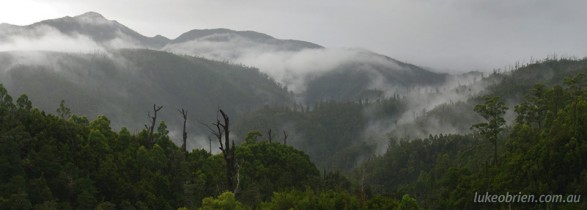 Tasmania's Tarkine: A mist-shrouded Meredith Range