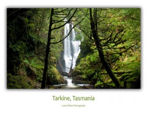 Tasmanian Postcards - Tarkine Philosophers Falls