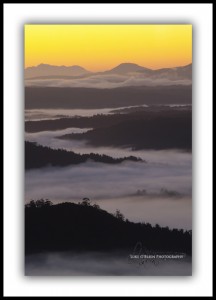 Morning Mist below Mt Donaldson, Tarkine