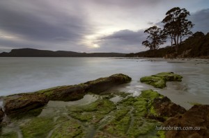 two tree point bruny island