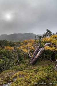 Tyndall Range, Autumn in Tasmania