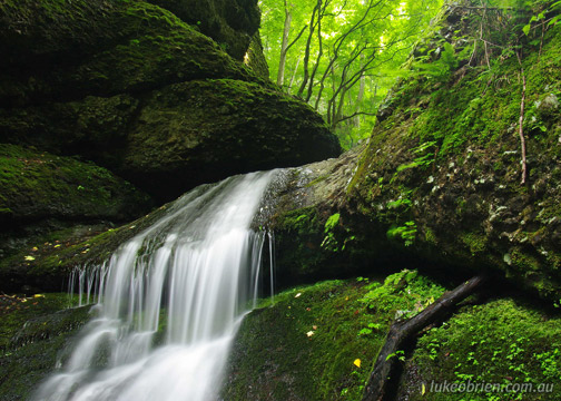 Forest cascade, Yuusenkyou, Yamagata