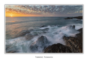 Tasmanian Greeting Cards Tarkine Coast