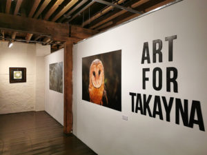 Art for takayna 2022 at Hobart's Long Gallery